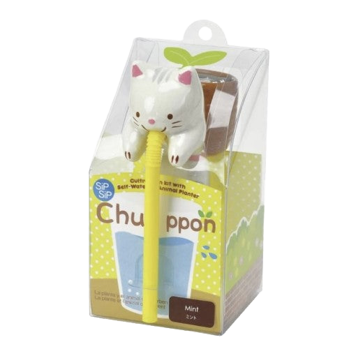 Chuppon - Mint Growing Kit