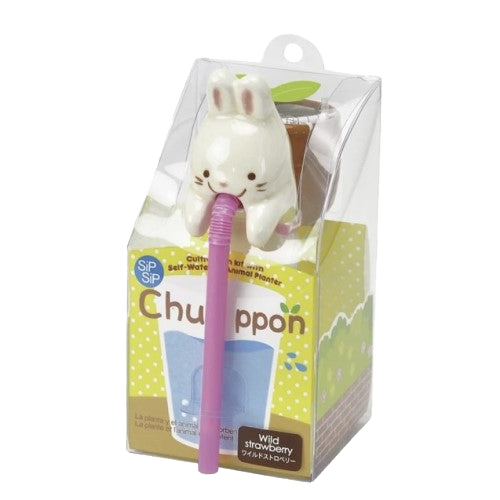 Chuppon - Wild Strawberry Growing Kit