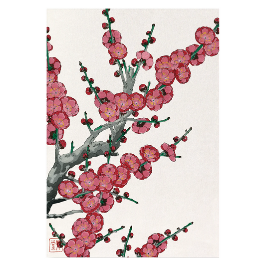 Japanese Art Print - Red Plum Blossom