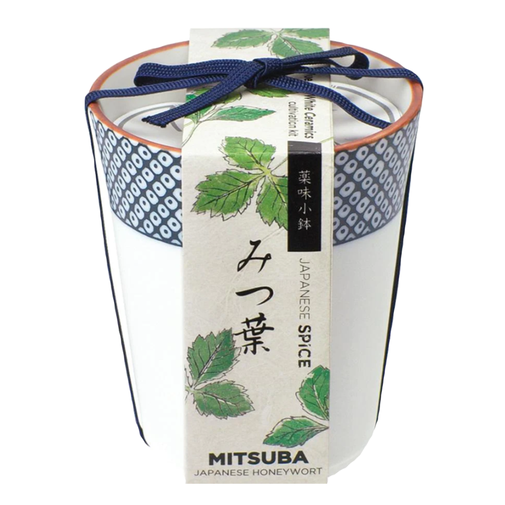 Yakumi / Japanese Spices - Mitsuba Growing Kit