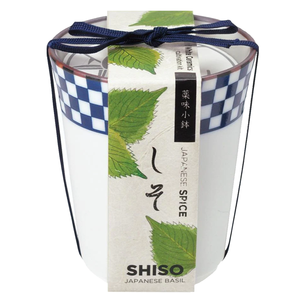 Yakumi / Japanese Spices - Shiso Growing Kit