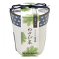 Yakumi / Japanese Spices - Wasabina Growing Kit