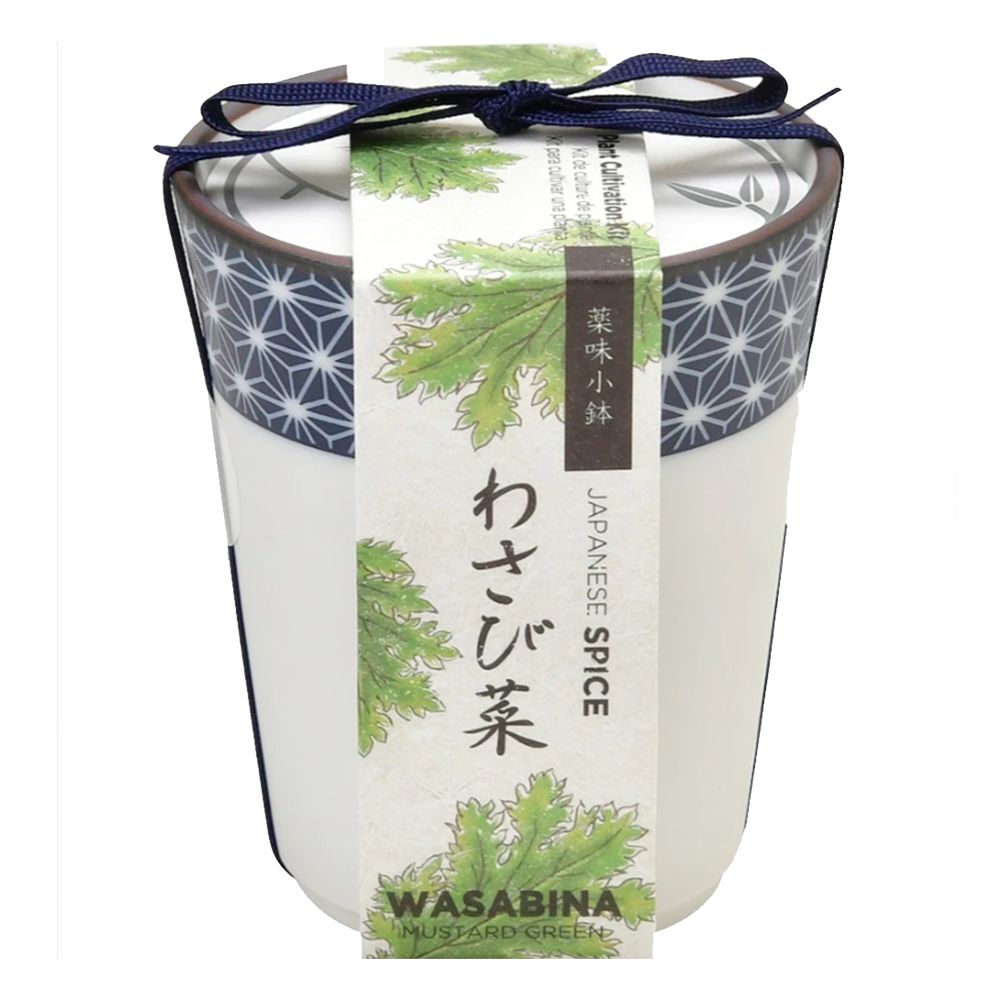 Yakumi / Japanese Spices - Wasabina Growing Kit