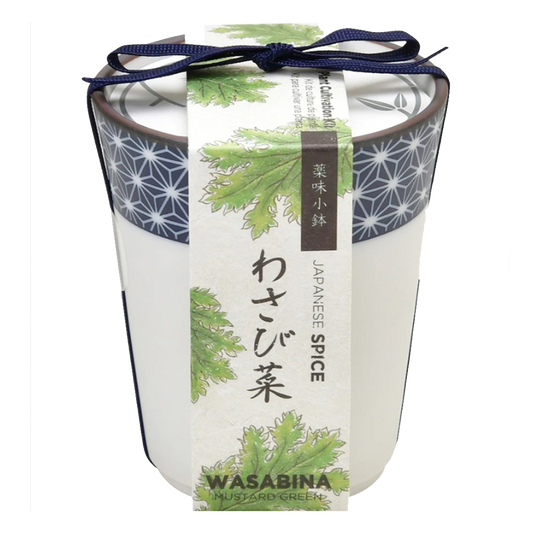 Yakumi / Japanese Spices - Wasabina Growing Kit