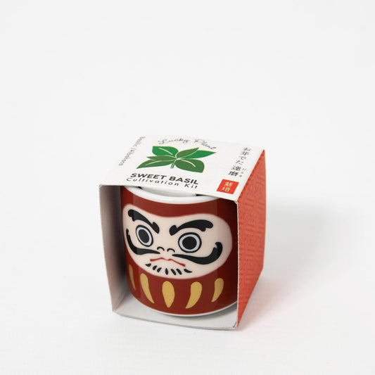 Lucky Plant Daruma - Sweet Basil Growing Kit