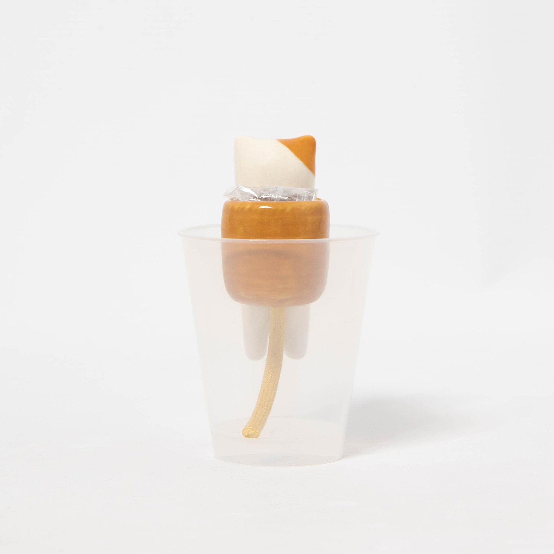 Shippon Cat - Wild Strawberry Growing Kit