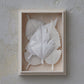 HAKO Box Set of 5 Paper Leaf Incense