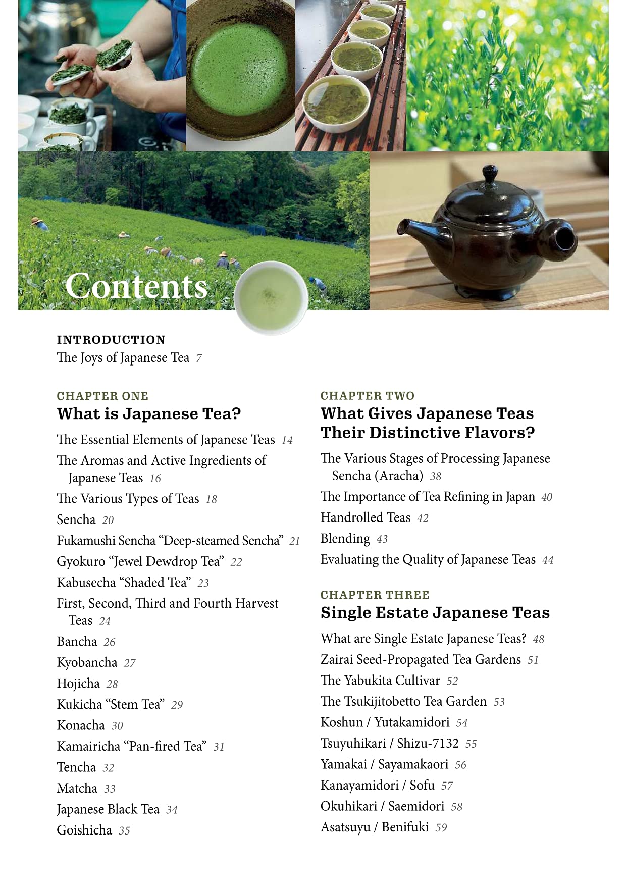 A Beginner's Guide to Japanese Tea by Per Oscar Brekell