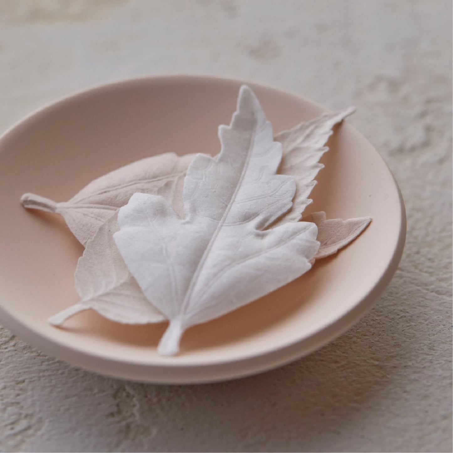 HAKO Box Set of 6 Paper Leaf Incense with a Plate